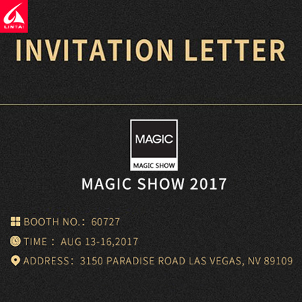 MAGIC SHOW 2017